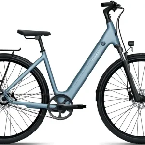 Hoge Kwaliteit TENWAYS CGO800S Elektrische Damesfiets 48cm