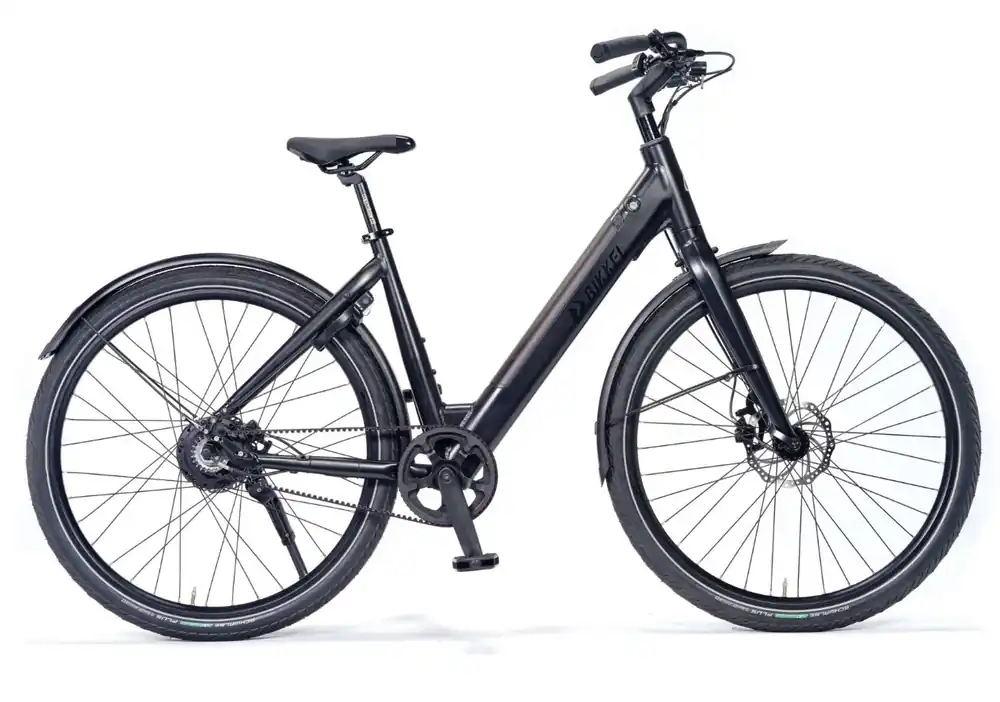 Lage Kosten Bikkel Centro