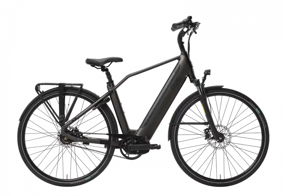 Qwic Inter Tour heren Elektrische herenfiets Bikesland.nl Must-Have