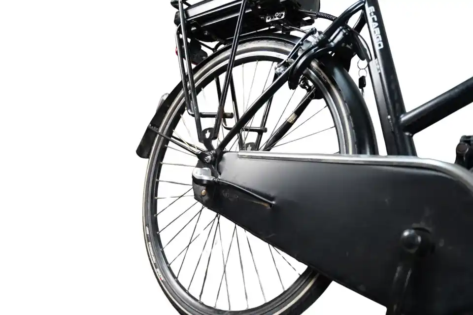 Populair Minerva E-Cargo Minerva E-Cargo